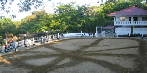 HORSE STABLE & TRAINING SCHOOL